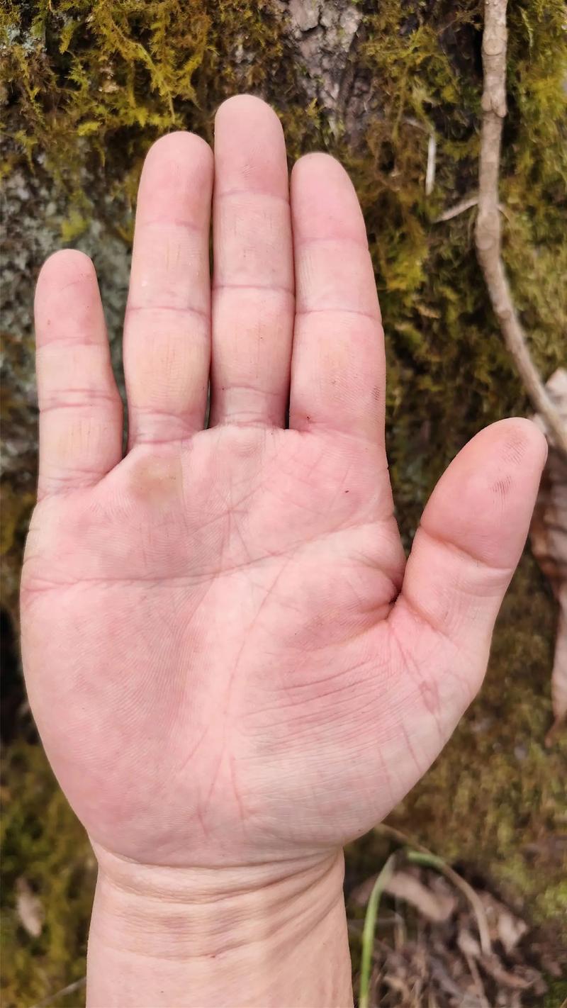 双手断掌男子命运解析：掌纹中的财运与挑战
