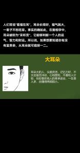 五大特质如何成为人生赢家