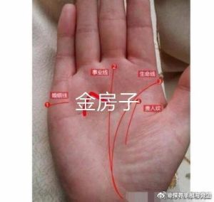 手相‘富贵窝’：女子命运之谜与真实轨迹