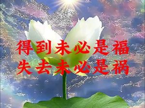 德行福报辩证关系：实践中华智慧，培养美好人生