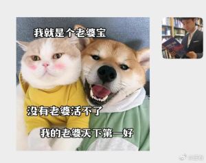 婚外情挣扎：已婚女子的心灵迷宫与抉择