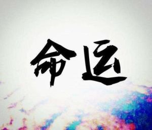婚前同居与堕胎：法律情感纠葛与婚姻平衡