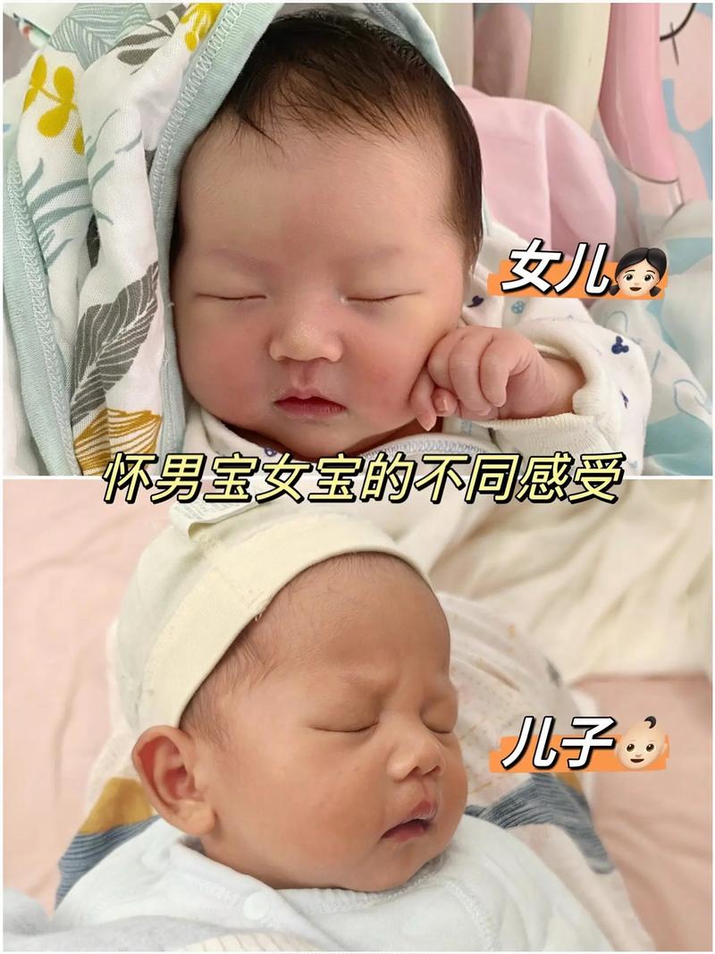 雅丽抉择：爱情与责任的勇气考验