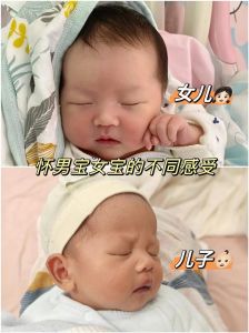 雅丽抉择：爱情与责任的勇气考验