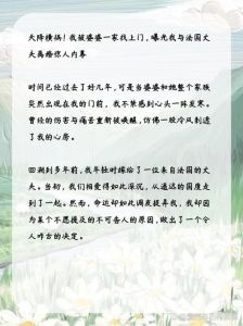婚姻坚守与解脱：破解夫妻矛盾，学会放手之道