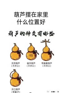 葫芦悬挂风水禁忌与好运指南