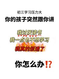 初三学生心理压力应对策略及案例分析