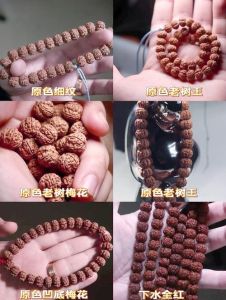 金刚纂风水摆放技巧：招财辟邪，家居活力开启之道