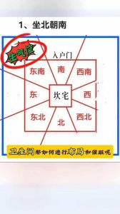 西面入户门风水布局：财运与健康风水秘籍