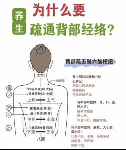 婚姻背叛后：重建信任之路