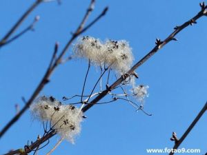 梦见熟人串门：人际关系与财运之谜