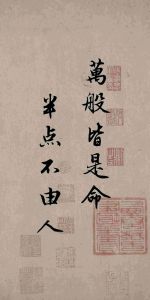 命运奥秘：人各有命，努力改变，活出精彩人生