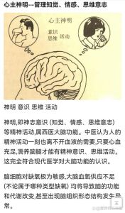 抑郁症患者的脑部真相与康复之路