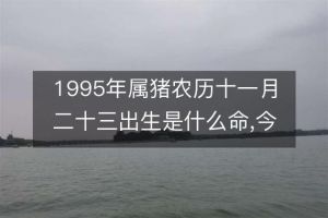 1995年属猪人命运财运事业婚姻运势解析