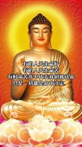 命运与性格：苦命人性格特征及改变之道