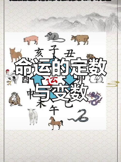 命与运解析：人生棋局与命运交织