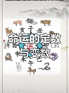 命与运解析：人生棋局与命运交织