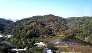 农村坟墓风水：家族兴衰之谜