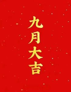 个人运程：八字大运解析财运健康与成功秘诀
