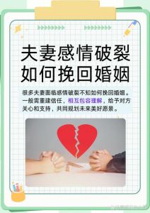 人财两空困境应对：扬帆起航，寻找幸福新航向
