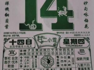 1995年11月14日出生：命运奥秘与人生轨迹