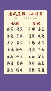 农历十一月十四：女孩命运密码与成功之路