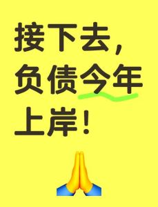 告别负债攻略：全方位上岸计划，重拾财务自由