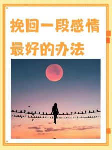 挽回爱情关键步骤：冷静分析，重燃希望火花