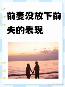 前夫心中前妻影子：情感谜题解析与选择