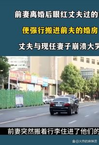 前夫回归漩涡：离婚后的情感与道德考验