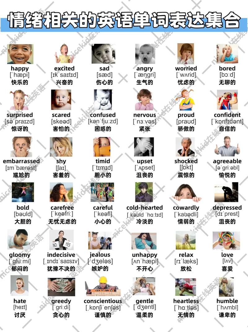 探索十二色彩情感密码：色彩如何触动心灵