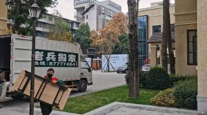 女人梦到手出血的吉兆含义及生活启示