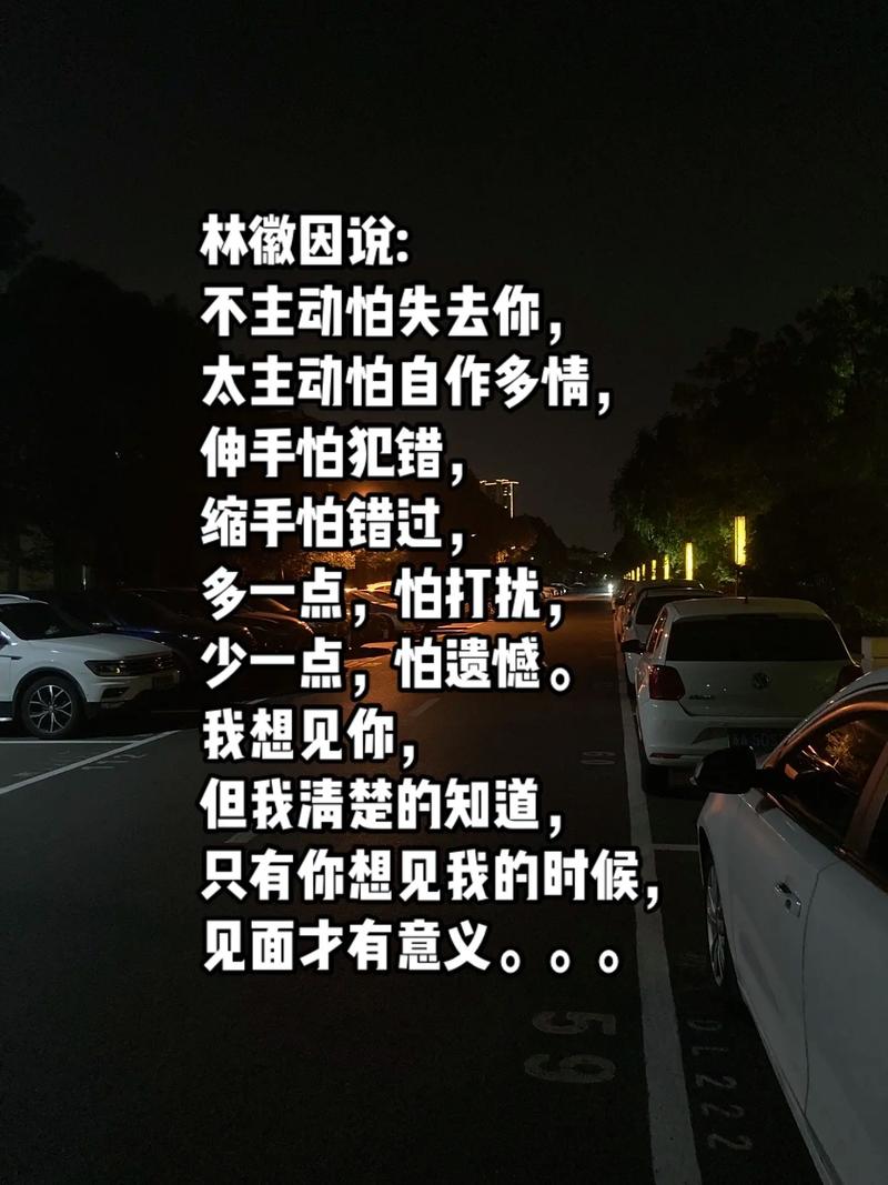 情人纠葛：爱情与政治风险的心理探索