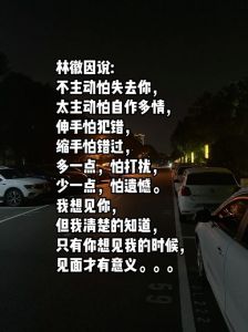 情人纠葛：爱情与政治风险的心理探索