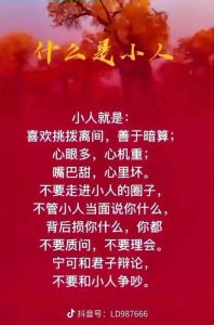智慧惩罚：合法合规让恶人自食恶果的秘诀