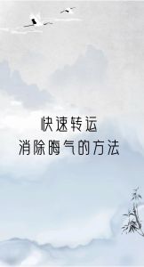财运提升秘籍：全方位改运攻略