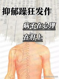 破解心理障碍：走出过往阴影，自我调节指南