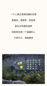 穿着与教养：形象背后的修养哲学