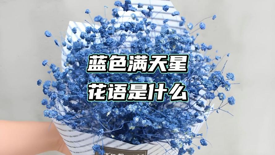 蓝色魅力：智慧财富之选，吉祥好运色彩