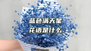 蓝色魅力：智慧财富之选，吉祥好运色彩
