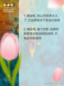 睡眠密码：梦境解码与回忆之谜