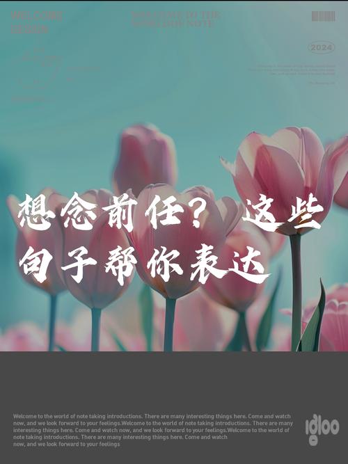 走出前任情感迷雾：怀旧与自我保护策略