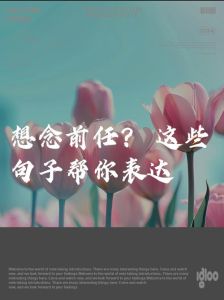 走出前任情感迷雾：怀旧与自我保护策略