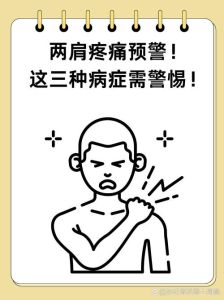 后背肩膀疼痛：肌肉劳损颈椎病等多原因及应对策略