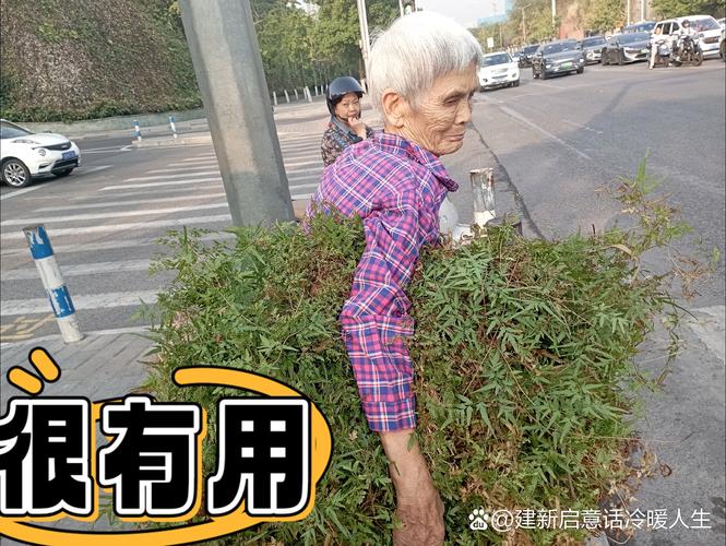 老人捋衣边：预示临终的信号及应对之道