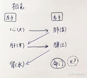 中医把脉：脉象与性格奥秘