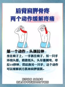 后背拉链难题解：小技巧大作用，轻松解决尴尬
