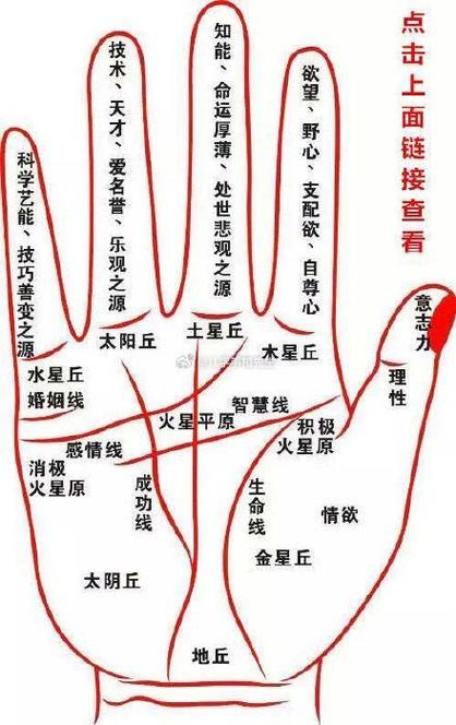 左手习惯：生理心理社会影响全解析