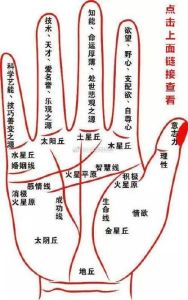 左手习惯：生理心理社会影响全解析
