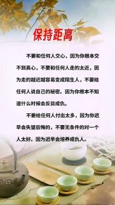 人际迷宫：揭开难以看透的心，寻找懂你的人
